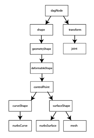 Figure 12 - Maya Inheritance Hierarchy